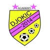 Akademija fudbala Djokić