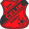Čelik