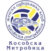 Kosovska Mitrovica