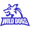 Novi Sad Wild Dogs