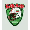 United Bulgarian Team