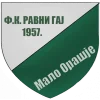 Ravni Gaj