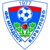 Mladost