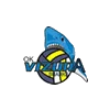 Vizura
