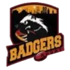 Bilgi Badgers