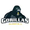 Gorillas Subotica