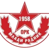 Mladi radnik