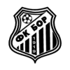 Bor 1919