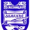 Loznica grad