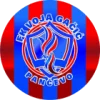 Voja Gačić